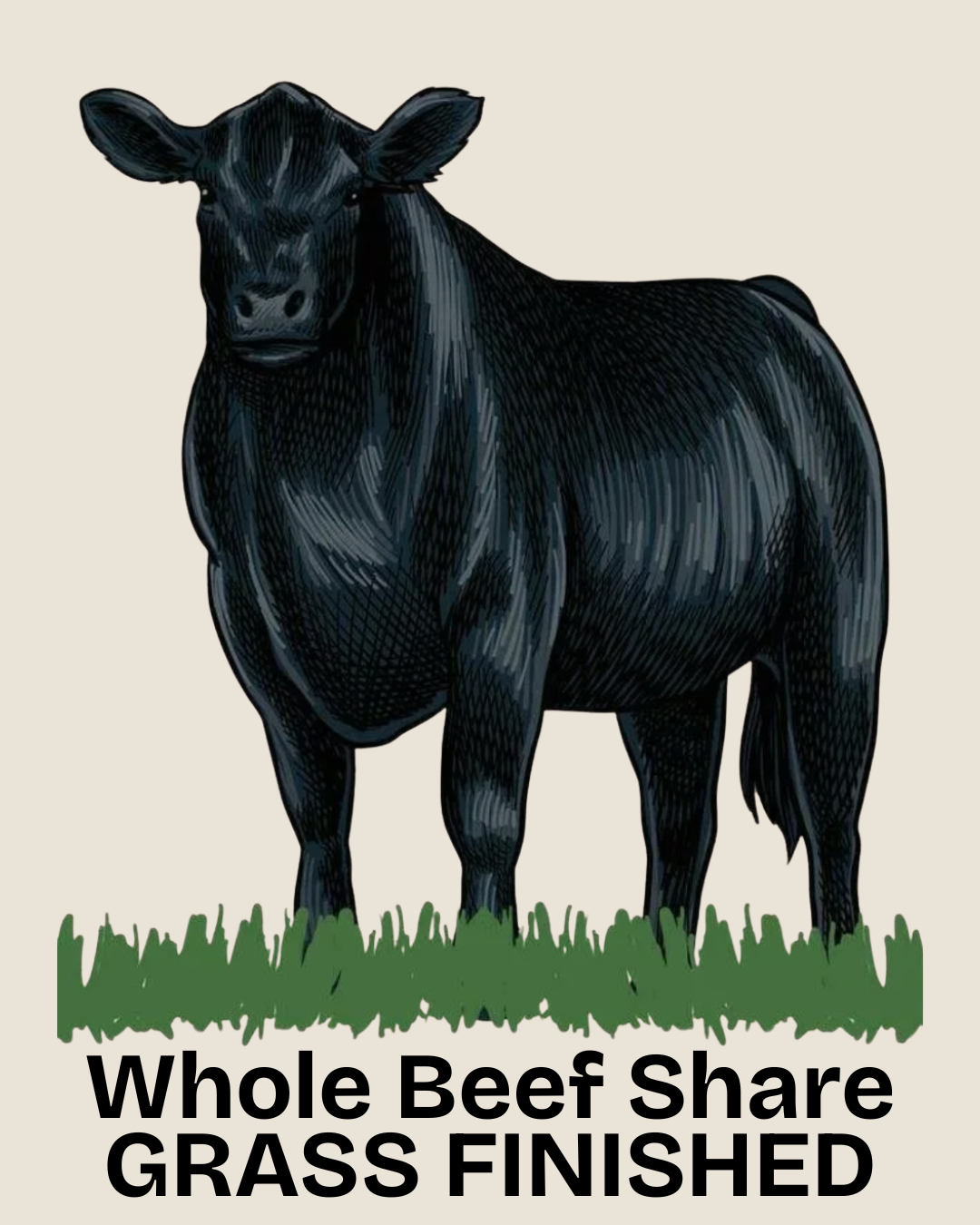 Whole Beef Grass Finished - Bulk Share